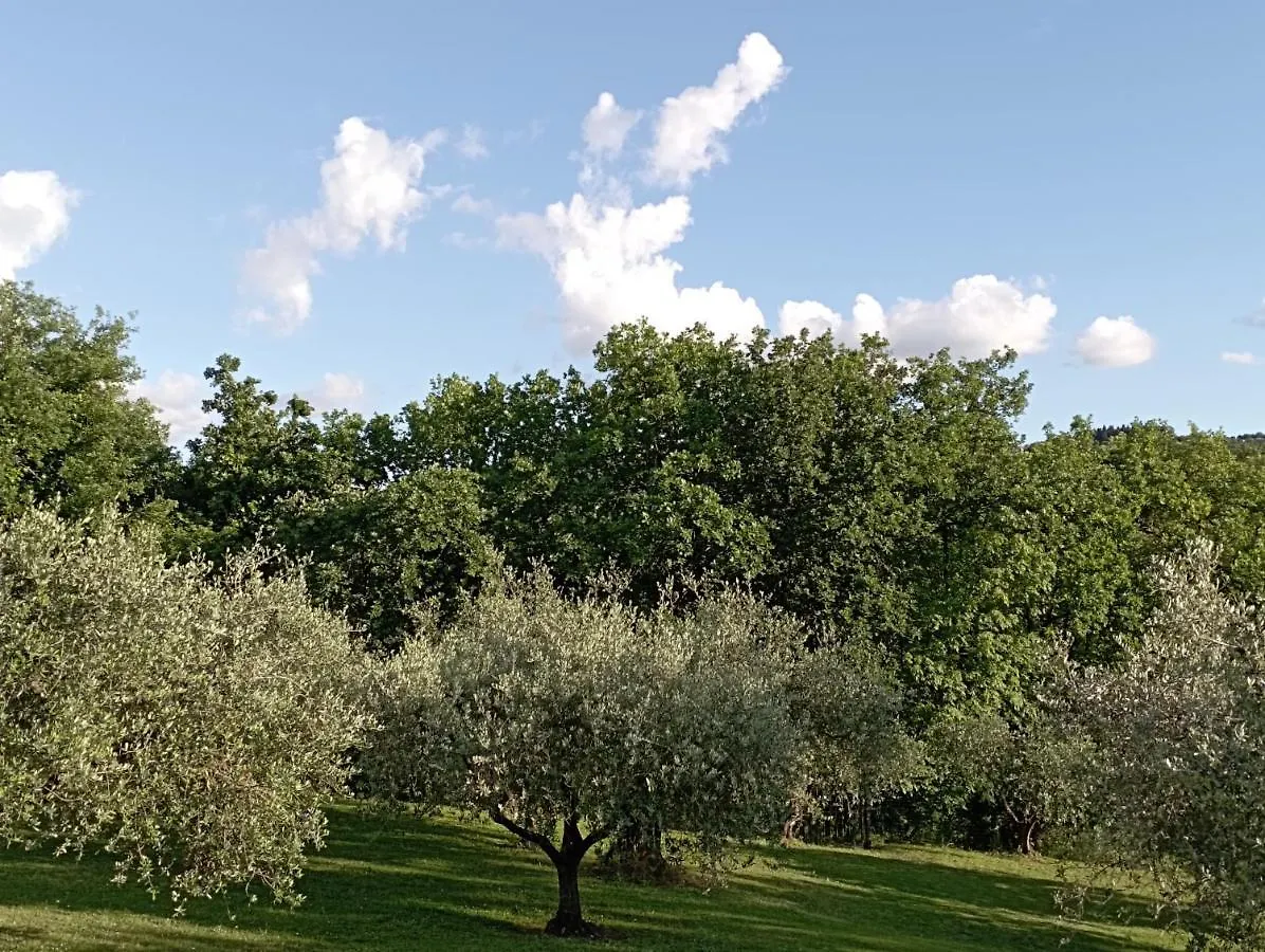 Guest house Villa Luna Comeana
