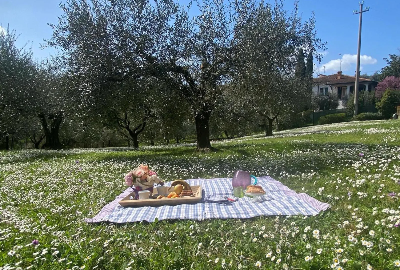 Villa Luna Comeana