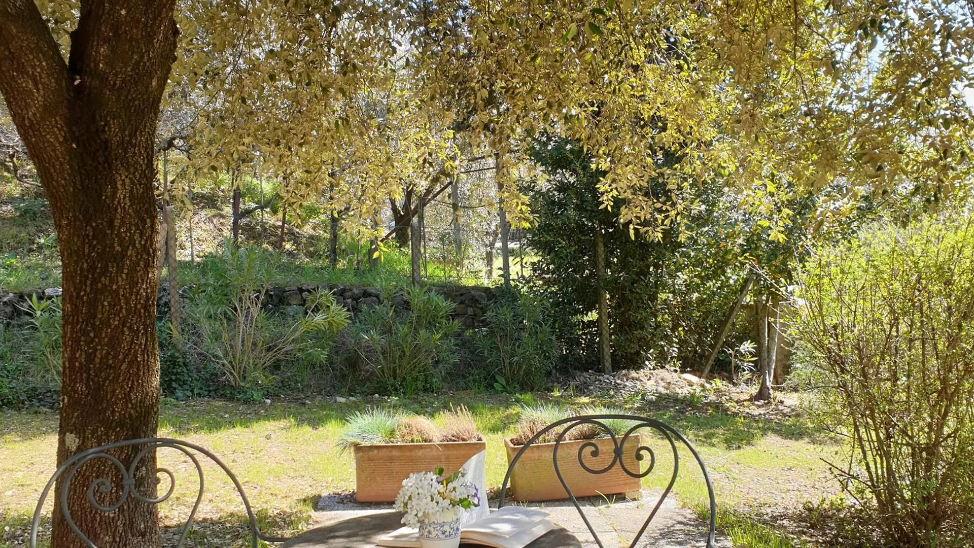 Villa Luna Comeana Italy