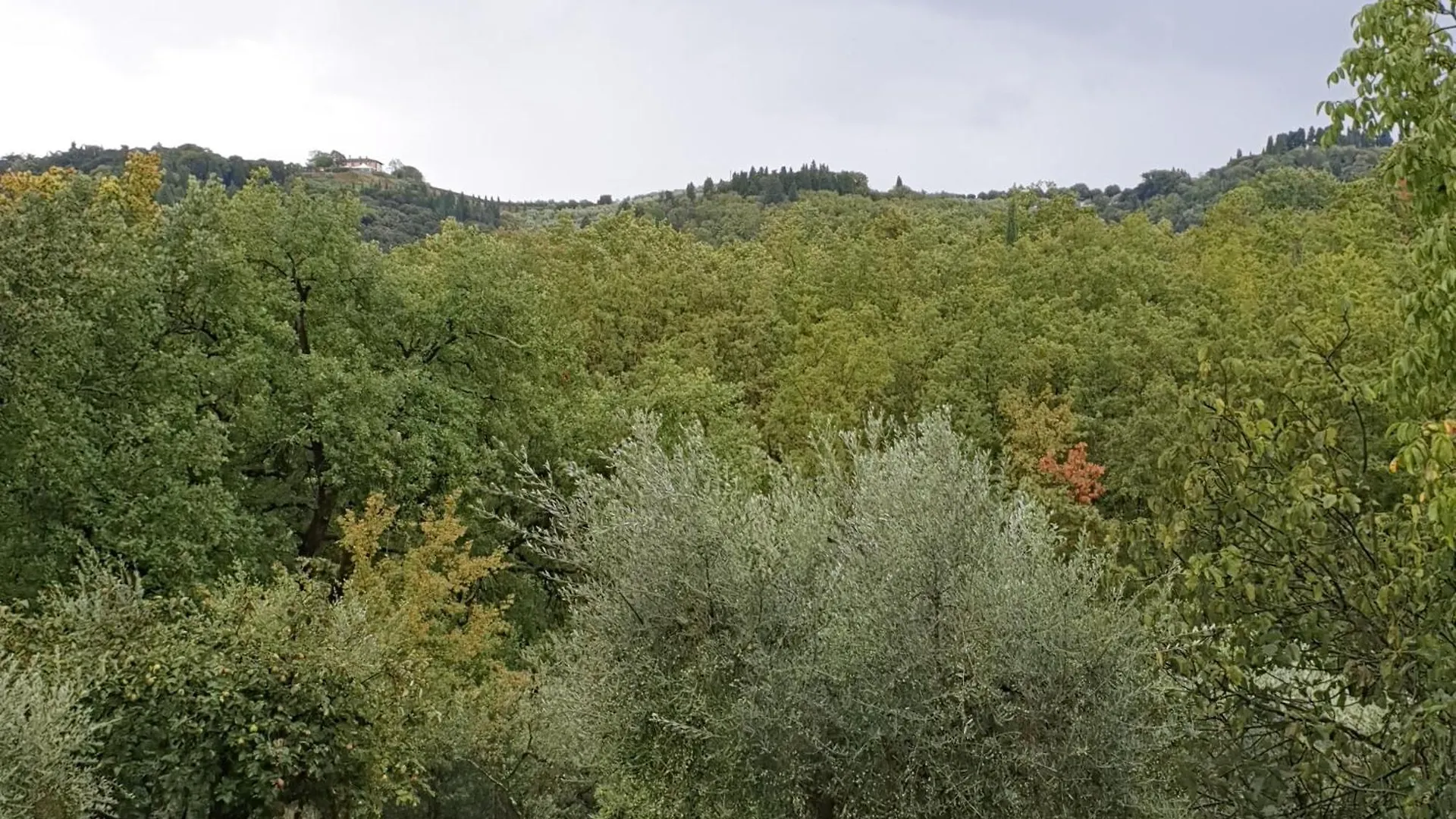 Villa Luna Comeana 0*,  Italy